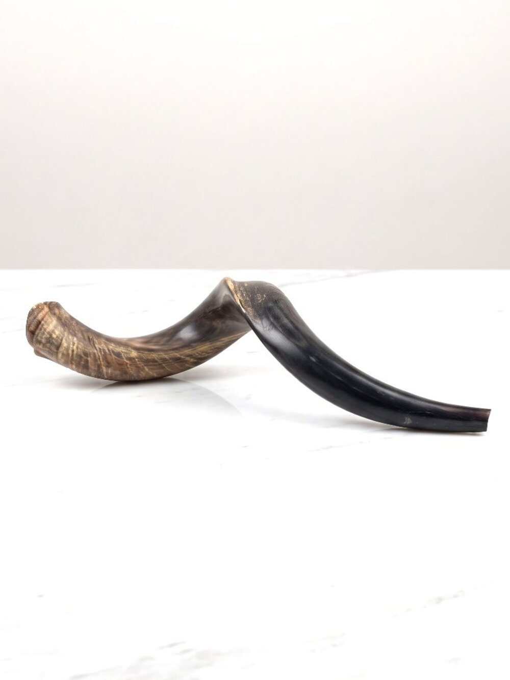 VTG Yemenite Kudu Natural Horn Shofar Jewish Judaica Ceremonial Instrument 19.5"
